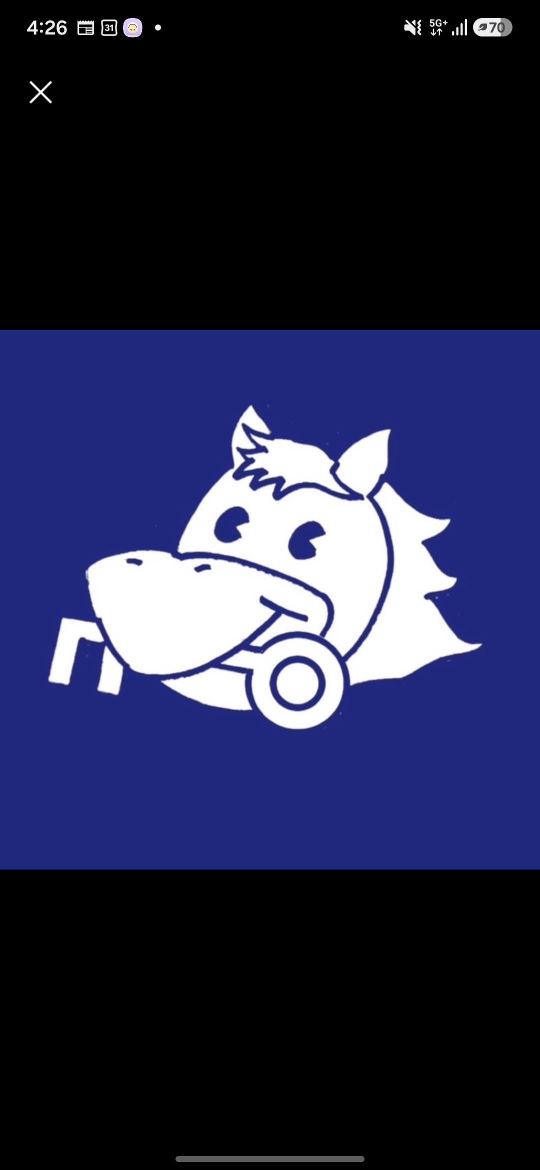 Team Logo